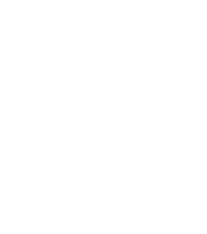 Bar Rolin